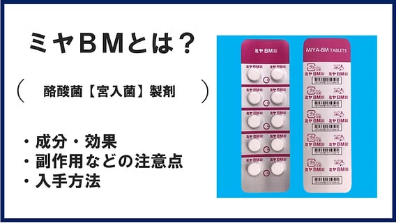 日本🇯🇵 BM妙利散錠劑 100錠:圖片 3