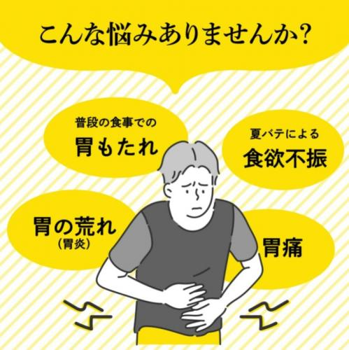日本🇯🇵大正漢方胃腸藥 220錠:圖片 5